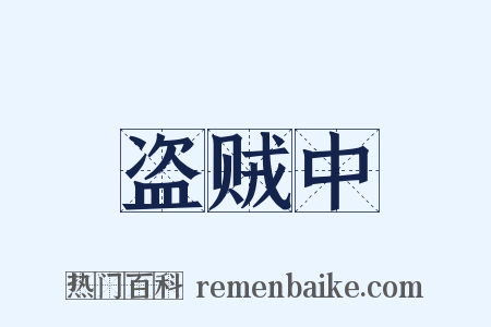 盗贼中是什么意思的图片